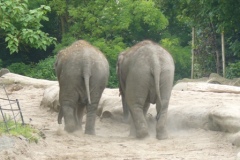 We hebben ook dieren gezien hoor ;-)